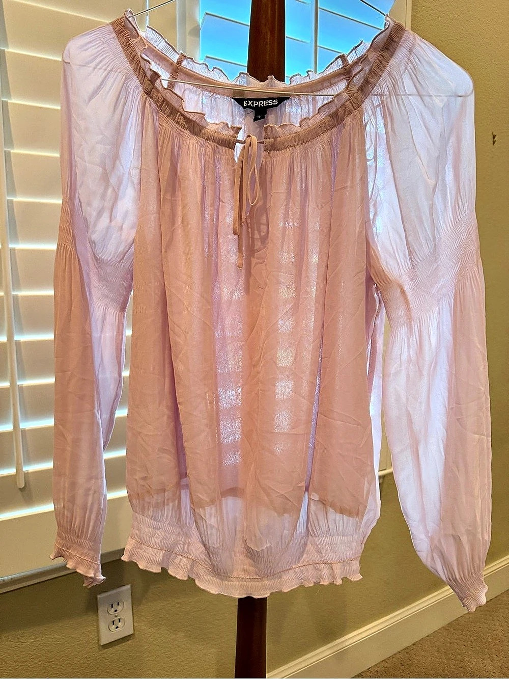 Express Sheer Ruffle Blouse in Pink Size Small